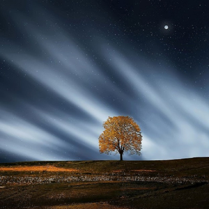 鸣潮涩涩同人❤️网站
